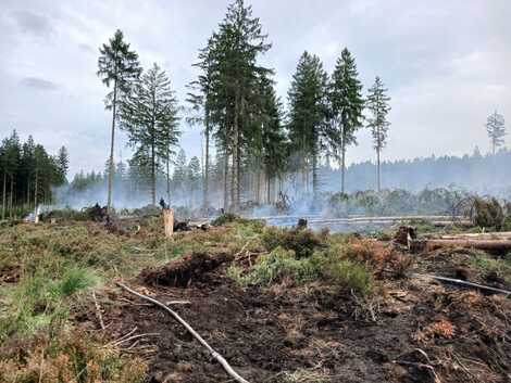 Ill. Incendie dans les Hautes Fagnes