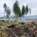 Incendie dans les Hautes Fagnes